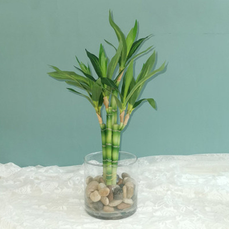Desk Setup Green - Nowa 40cm sztuczna roślina Lucky Bamboo,
