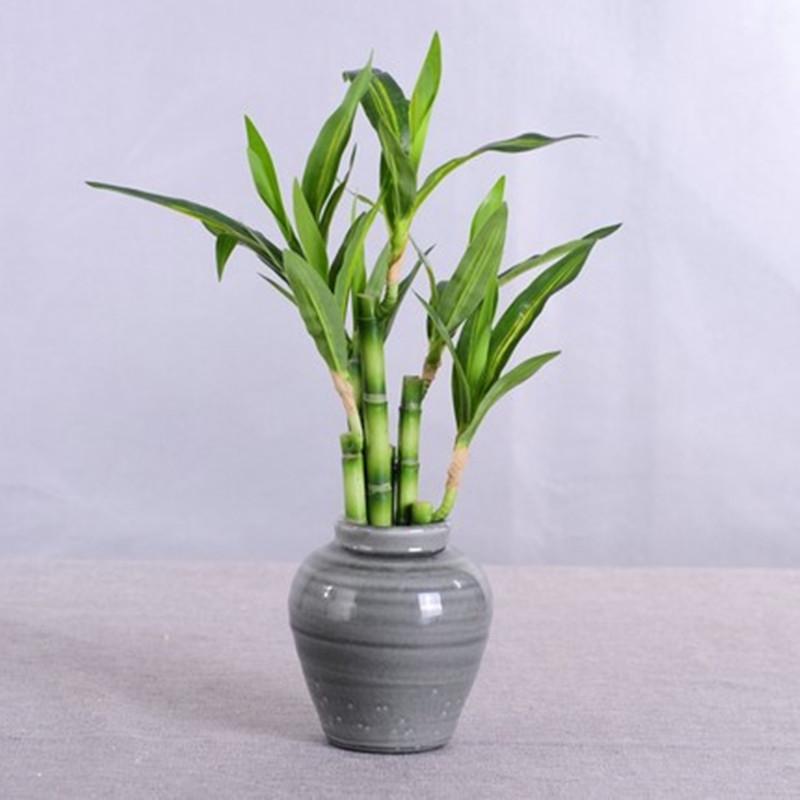 Nowa 40cm sztuczna roślina Luc – Desk Setup Green recenzja i cena