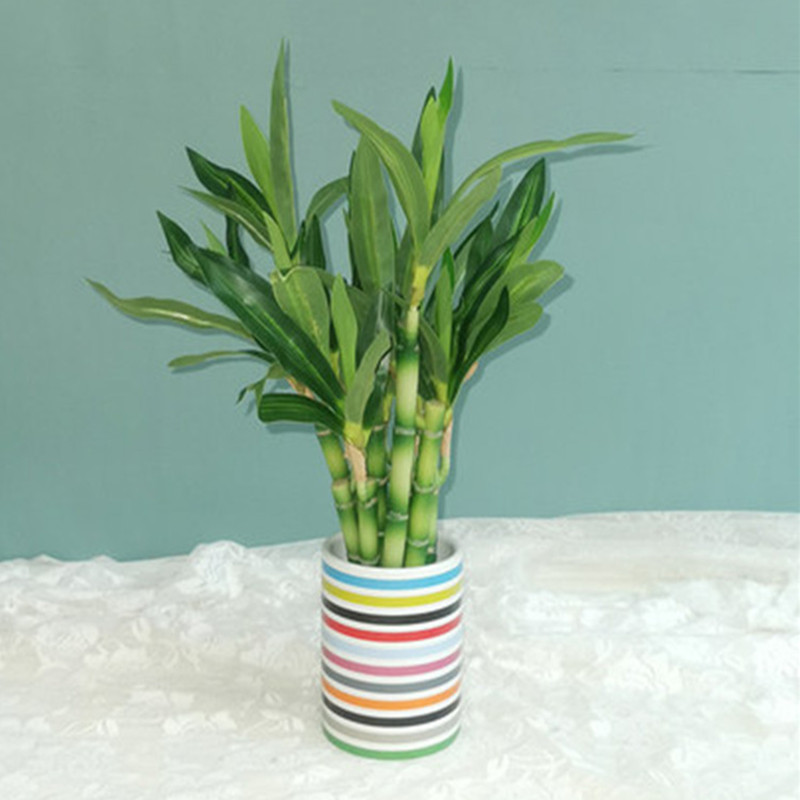 Nowa 40cm sztuczna roślina Luc – Desk Setup Green recenzja i cena